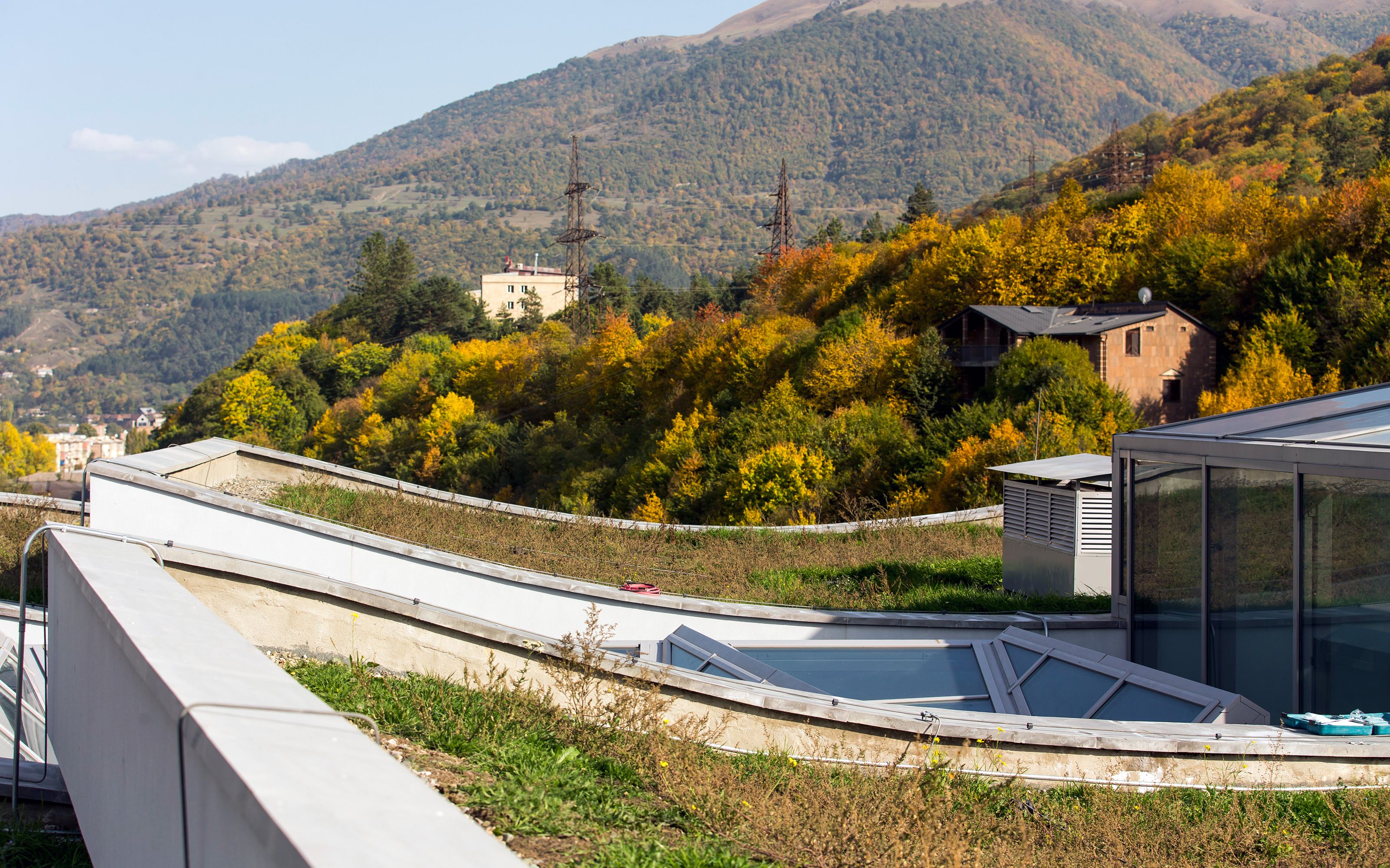 The plants on the roof surfaces are supposed to grow as naturally as possible. © Danil Kolodin Plants on a green roof